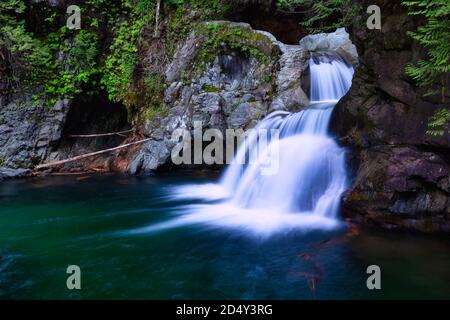 Splendide cascate nei canyon di Lynn Valley Foto Stock