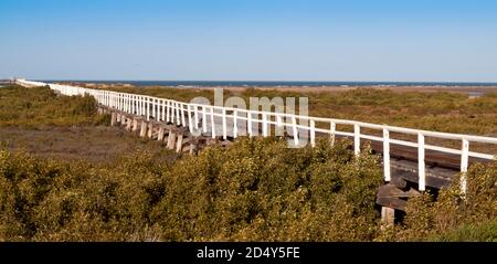 1,5 km circa dal Jetty, Carnarvon, Australia occidentale. Foto Stock