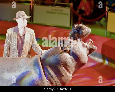 Orenburg, Russia - 12 ottobre 2019: Allenatore e ippopotamo nell'arena del circo Foto Stock