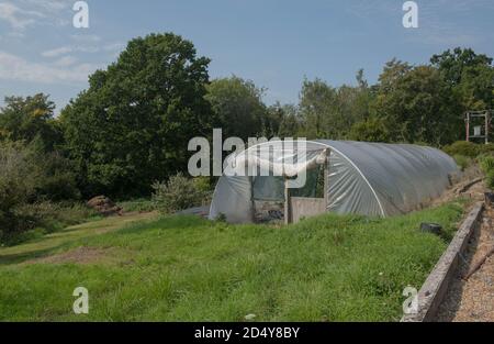 Polifunnel per la promozione di piante e verdure su un'assegnazione in un giardino vegetale in Rural West Sussex, Inghilterra, Regno Unito Foto Stock