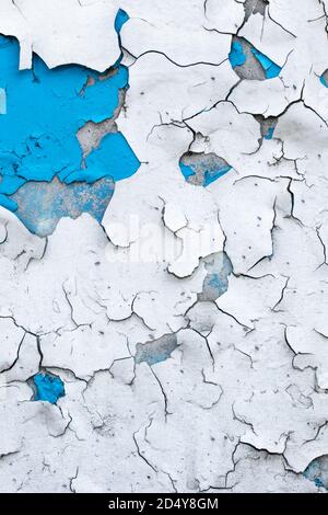 Peeling vernice su vecchio muro di cemento. Intonaco incrinato, stucco traballante. Sfondo astratto dipinto in bianco e blu, superficie grunge, texture pattern. Sporco Foto Stock