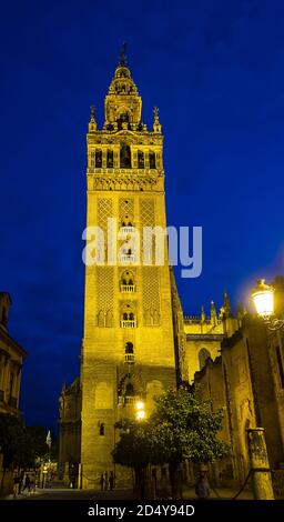 Famoso Campanile chiamato Giralda nella Cattedrale cattolica di Santa Maria, Catedral de Santa Maria de la Sede a Siviglia, Andalusia, Spagna di notte Foto Stock