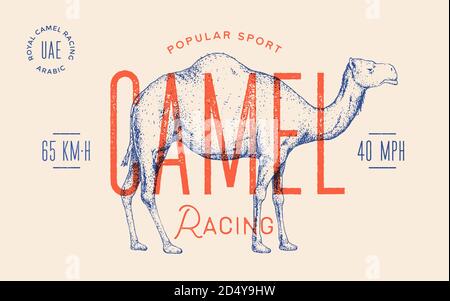 Cammello. Etichetta modello. Stampa retrò vintage Illustrazione Vettoriale