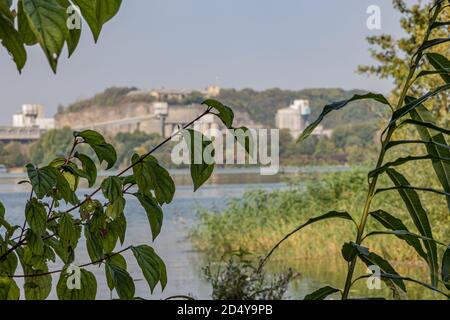 Rami con foglie verdi di piante selvatiche in primo piano con il fiume Maas (Mosa) e la vecchia fabbrica di cemento sullo sfondo sfocato, su soleggiata Foto Stock