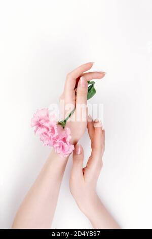 Le mani femminili delicate tengono un fiore di eustoma rosa. Sfondo bianco. Spazio di copia. Disposizione piatta. Il concetto di caratteristiche e tenerezza. Foto Stock