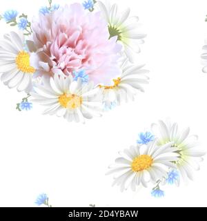 Motivo floreale senza cuciture con peonia rosa, Chamomile (Daisy), fiori di primavera. Fiori in fiore su sfondo bianco. Vettore Illustrazione Vettoriale