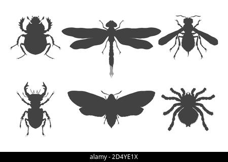 Insieme vettoriale di insetti disegnati a mano. Insetti diversi in stile realistico. Collezione silhouette nera isolata su sfondo bianco. Illustrazione Vettoriale