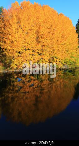 Kajaaninlinnan raunio, Kajaani Foto Stock