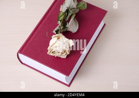 Libro bianco rosa e rosso copertina rigida, vita morta, primo piano, piatto su scrivania o tavolo di legno Foto Stock