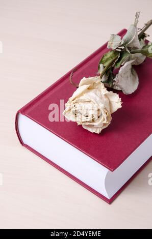 Libro bianco rosa e rosso copertina rigida, vita morta, primo piano, piatto su scrivania o tavolo di legno Foto Stock