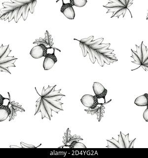disegno con disegno a inchiostro di elementi autunnali, ghiande bianche e nere, foglie di acero e quercia, decorazione a caduta line art, schizzo nero autunnale Foto Stock
