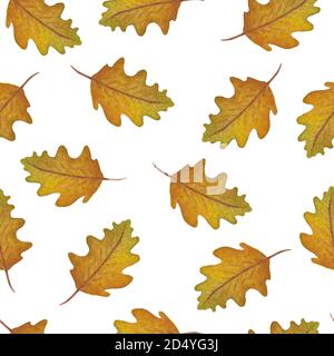 foglie di quercia autunno acquerello motivo senza cuciture, sfondo autunno senza cuciture con foglie di quercia, acquerello foglie caduta disegno illustrazione per il tessuto Foto Stock