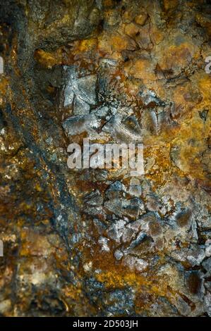 Grandi cristalli cubici in crescita di fluorite chiara in una matrice di fluorite gialla e galena (minerale di piombo) una vecchia miniera di piombo nel Derbyshire. Foto Stock