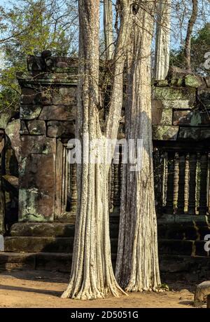 Prasat Krahom mattoni rossi Tempio indù a Koh Ker. Muschio sul mattone di pietra arenaria laterite blocchi archeologici Paesaggio di Koh Ker, camma nord-occidentale Foto Stock