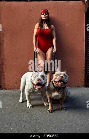 donna con una figura atletica con due cani bullo americano sulle strade della città Foto Stock