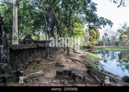 Tempio indù Prasat Krahom a Koh Ker alberi e stagni ricoperti di vegetazione. Paesaggio archeologico di Koh Ker, Cambogia nord-occidentale. Muschio sulla pietra b Foto Stock