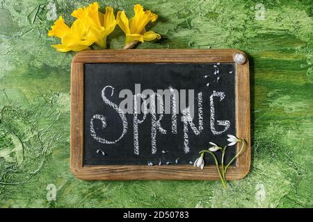 Iscrizione calligrafico scritte a mano lettere molla sulla lavagna nera con il fiore di narciso e snowdrops nella tazza di ceramica su una texture verde indietro Foto Stock