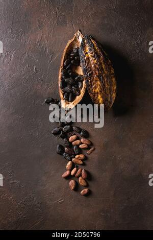 Varietà di fresco e secco Fave di cacao, da cacao pod con cioccolato fondente tritato su texture marrone dello sfondo. Laici piana, spazio Foto Stock