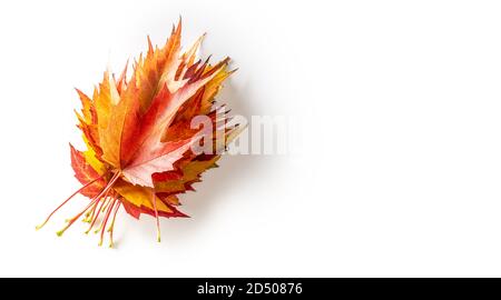 Foglie di acero arancione impilate come simbolo dell'autunno uno sfondo isolato Foto Stock