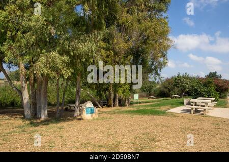 Nahal Alexander (fiume Alexander o fiume) È un fiume in Israele che scorre dall'ovest Lato della cintura di montagna Samaria in Cisgiordania al Foto Stock