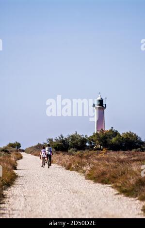 Camargue Foto Stock