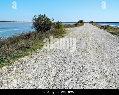 Camargue : la Digue à la mer Foto Stock