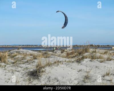 Camargue Foto Stock