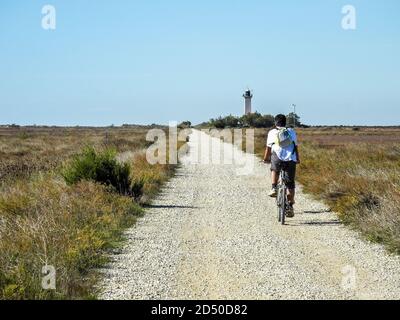 Camargue : Torre ciclabile la Gacholle faro Foto Stock