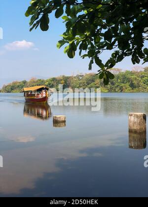 Una barca motorizzata che naviga lungo il fiume periyar a Thattekad, nello stato indiano meridionale del Kerala. Foto Stock