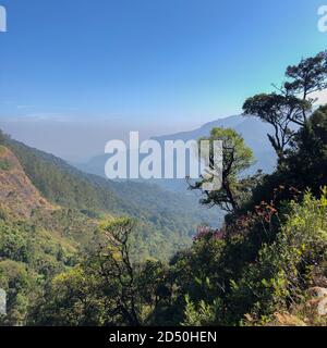 Una bella valle panoramica con lussureggiante foresta verde in primo piano e montagne nebbie sullo sfondo. Foto Stock