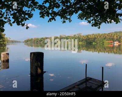 Una vista del fiume periyar e la sua foresta circostante dalla riva del fiume a Thattekad in Kerala, India. Foto Stock