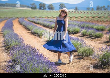 Giovane ragazza trendy capelli lunghi colore blu scuro vestito ondeggiante al campo di lavanda. Nuvola blu giorno d'estate Foto Stock