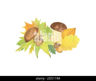 Arrangiamento di elementi autunnali con funghi, ghiande e foglie gialle feste stagionali autunno acquerello illustrazione floreale, composizione per Halloween e ringraziamento Foto Stock
