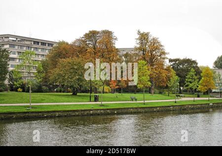 Bedford, Regno Unito. 12 Ott 2020. Colori autunnali negli alberi lungo il fiume Ouse che attraversa Bedford, Regno Unito il Lunedi 12 ottobre 2020 Credit: KEITH MAYHEW/Alamy Live News Foto Stock