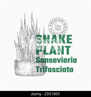 Simbolo vettoriale o modello di etichetta per astratto di piante serpenti. Sansevieria Sillhouette in ceramica disegnata a mano con la moderna Typography Home Gardening Card. Pianta domestica Illustrazione Vettoriale