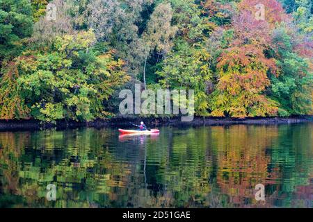 Pitlochry, Scozia, Regno Unito. 12 ottobre 2020. Colori autunnali su alberi e membro del pubblico in kayak sul Loch Faskally a Pitlochry. Iain Masterton/Alamy Live News Foto Stock