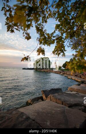 Edgewater Park Willow Tree Ohio Cleveland Foto Stock