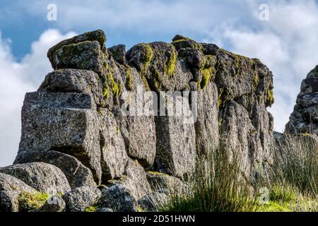 Vecchio muro di pietra a secco, due ponti, Dartmoor, Devon, Regno Unito Foto Stock