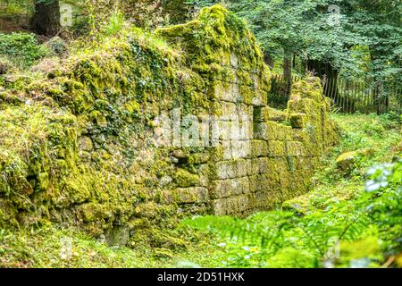 Rovine coperte di muss di vecchio mulino, Fingle Bridge, Dartmoor, Devon, Regno Unito Foto Stock