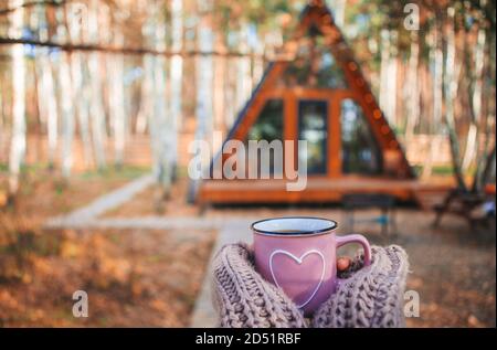 Tazza calda di tè che scalda le mani della donna in pullover di lana sullo sfondo di casa accogliente Foto Stock