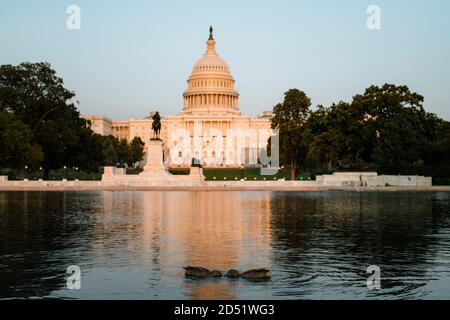 VISTA sul Campidoglio DEGLI STATI UNITI con piscina e anatre riflettenti Foto Stock