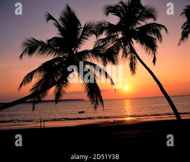 Tramonto su Bambolim Beach Goa Foto Stock