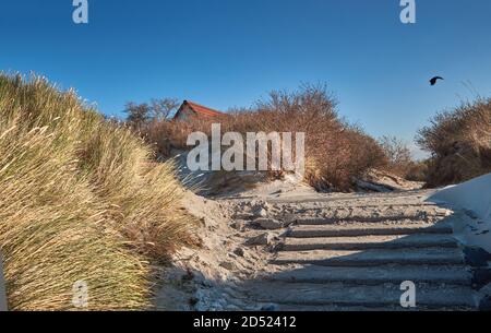 Ingresso alla spiaggia sull'isola di Hiddensee in Germania. Erba gialla. Autunno o inverno bassa stagione. Foto Stock