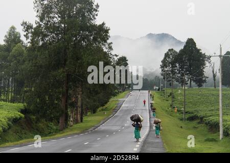 Pechino, Cina. 19 Ott 2017. Gli agricoltori camminano lungo la strada con cesti di foglie di tè sopra le loro teste nel Ruanda sud-occidentale, 19 ottobre 2017. Credit: LYU Tianran/Xinhua/Alamy Live News Foto Stock