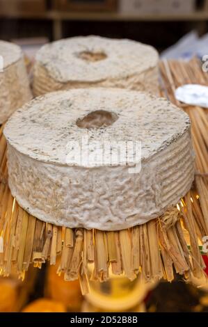 Raccolta di formaggi, formaggio francese Rouelle du Tarn a partire da latte crudo di capra nella regione Tarn in Francia primo piano Foto Stock