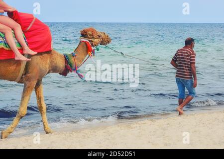 Il cammello arabo conduce con i turisti sullo sfondo del mare blu Foto Stock