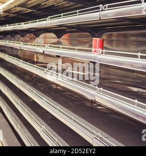 Una lattina di cibo in scatola su un ripiano vuoto dentro un negozio di alimentari Foto Stock