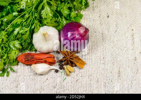 Coriandolo con cipolla, aglio e spezie indiane su un panno bianco Foto Stock