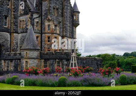 La casa Blarney, giardino di rose, letto, letti, fiori, fioritura, blarney castello, castello medievale, sughero, munster, irlanda, RM irlanda Foto Stock