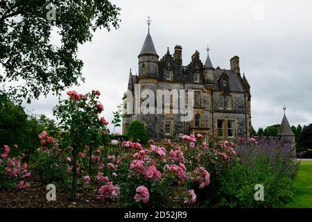 La casa Blarney, giardino di rose, letto, letti, fiori, fioritura, blarney castello, castello medievale, sughero, munster, irlanda, RM irlanda Foto Stock